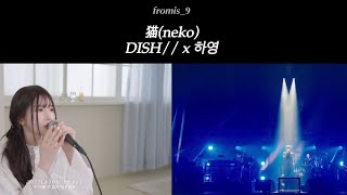 프로미스나인 송하영 X DISH  猫neko [upl. by Oiram]