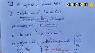 Transamination  Transdeamination of Amino Acids  Note  MEDU [upl. by Waldo737]