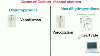 Calcium channel blockersبالعربي [upl. by Notnerb]