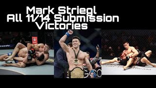 MARK STRIEGL  ALL 11 SUBMISSION OF 14 SUBMISSION VICTORIES [upl. by Nollad395]