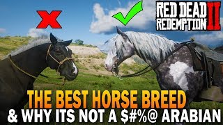 The BEST HORSE Breed In RDR2 And Why Its Not an Arabian  Red Dead Redemption 2 Horses [upl. by Acissey]