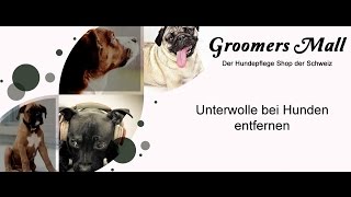 Unterwolle bei Hunden entfernen [upl. by Annotahs]