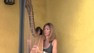 A Thousand Years  Harp cover  Michelle Whitson Stone [upl. by Ativ]