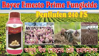 Bayer Emesto Prime Fungicide।। আলুর বীজ শোধনের এক শ্রেষ্ঠ ছত্রাকনাশক। কিভাবে আলুর বীজ শোধন করবেন [upl. by Jocelyne]