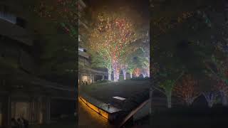 Roppongi Hills illumination tokyo japan trendingshorts [upl. by Lindner466]