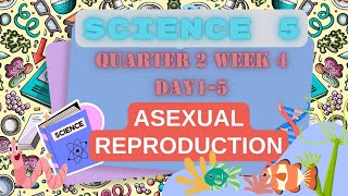 GRADE 5  SCIENCE 5 PPT QUARTER 2 WEEK 4  MELC BASED [upl. by Hosea]