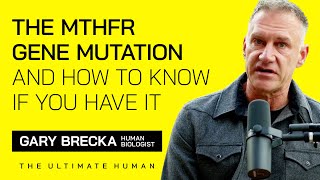 MTHFR Gene Mutation Explained How to Know If You Have It and What To Do About It with Gary Brecka [upl. by Carper]