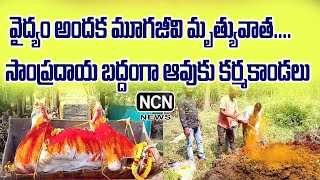 వైద్యం అందక మూగజీవి మృత్యువాతసాంప్రదాయ బద్దంగా ఆవుకు కర్మకాండలు [upl. by Thomson]