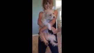 Jennette McCurdy Periscope  Fred is worth it [upl. by Royo]