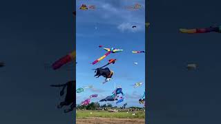 The 3rd edition of the Tamil Nadu Kite Festival 2024  Tamil Nadu Tourism [upl. by Ylellan964]