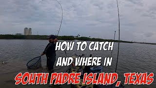 Fishing in SPI TXHow to CATCH FISH [upl. by Nivaj133]