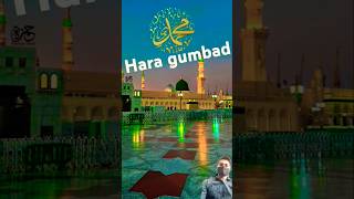 Hara gumbaj Jo dekhoge shorts bestmakkah madina trend shortsfeed status share foryou love [upl. by Holman805]