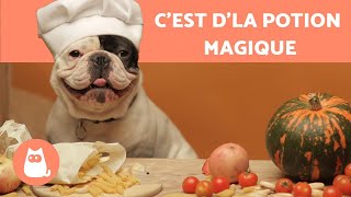 Recette de friandise pour chien 🐶  COURGE POTIRON [upl. by Laurella]