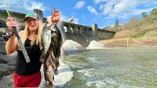 Catching SPILLWAY SLABS SWAMP CATFISH and BIG BLUEGILL for a FEAST CATCH CLEAN and COOK [upl. by Ardelis741]