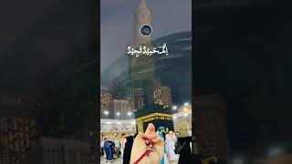 Darood e ibrahimi shortvideo yaali islamic [upl. by Fee]