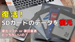 【SDカード復元】SDカードからデータを復元するソフトや業者、注意点も｜Tenorshare 4DDiG [upl. by Kannav]