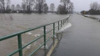 Hochwasser Kleve  Griethausen Warbeyen am 13012011 [upl. by Denzil796]