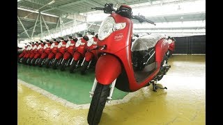 Pasaran Harga Motor Scoopy Bekas Terbaru 2018 [upl. by Eeslehc]