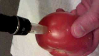 Dermapen Micro Needle CIT Demo [upl. by Zachar161]