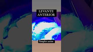 Levante anterior [upl. by Trilbie]