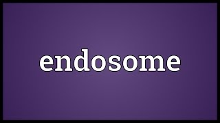 Endosome Meaning [upl. by Narib]