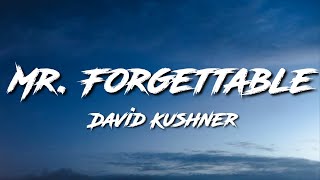 Mr Forgettable David Kushner Lyrics [upl. by Yrret]