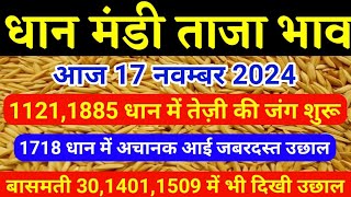 17 नवम्बर धान में तेजी का तड़का। 11211885 धान में भयंकर तेजी। 1718 धान में उछाल। धान मंडी भाव। [upl. by Fitalludba]