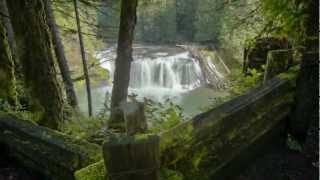 Visit Your Pacific Northwest National Forest [upl. by Livesay]