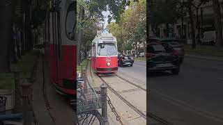 Vienna  The City of Aesthetics vienna austria travel travelvlog travelblogger [upl. by Annahsit]