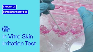 An in vitro skin irritation test using the reconstructed human epidermal model EpiDerm [upl. by Ydnor]