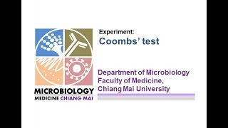 การทดลองที่ 51 Direct and Indirect Coombs test New [upl. by Ric]