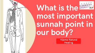 Sunnah points What is the most important Sunnah point in our body [upl. by Aerdna]