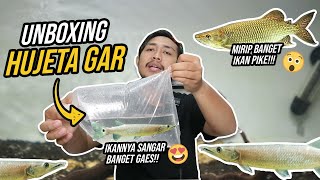 UNBOXING HUJETA GAR SI BARRACUDA AIR TAWAR [upl. by Cand947]