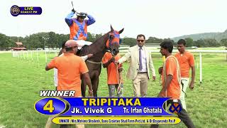 TRIPITAKA with Vivek G up wins The BANanaiah Memorial Trophy 2024 RACE 31 [upl. by Esdnyl230]