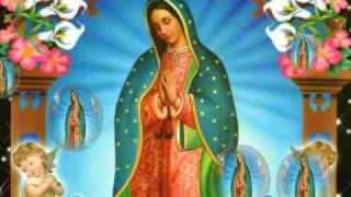 Virgen de Guadalupe La Guadalupana [upl. by Allicerp249]