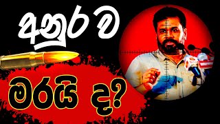 පාස්කු ගහපු එවුන්ට අනුර කජ්ජක්ද  අනුර අපේ ජාතික සම්පතක් අපි අනුරව රැක ගත යුතුමයි [upl. by Fonda]