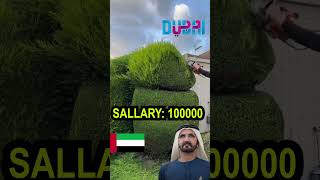 PLANTING JOBS IN DUBAI [upl. by Gnouc]