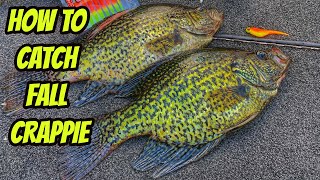 HOW TO CATCH FALL CRAPPIE baits tips amp tactics [upl. by Grigson]