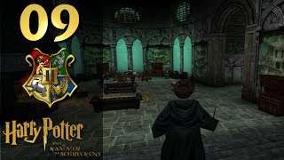 Lets Play Harry Potter und die Kammer des Schreckens HDGermanBlind 09 Mission Schlange [upl. by Sessylu202]