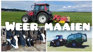 Door HITTEGOLF kalveren niet naar buiten dus WEER MAAIEN en RONDE BALEN maken  Boer Gerrit vlogt [upl. by Oswal560]