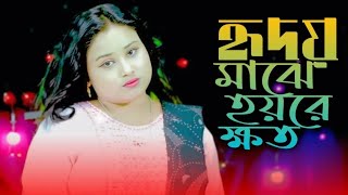 Hydoy Maje Hoire Khoto হাইডয় মাঝে হয়রে ক্ষতarifaakhtar gulsanaparbin [upl. by Gautious]