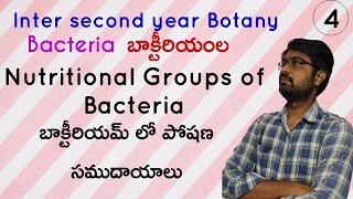 Nutritional Groups of Bacteria Based on Energy and Carbon  బాక్టీరియమ్ లో పోషణ సముదాయాలు Class 4 [upl. by Enyamert]