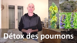 Détox des poumons avec les plantes  cigarette et pollution [upl. by Atnamas771]