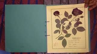 Herbarium File 2019 by Laxmi modanwal [upl. by Friedly]