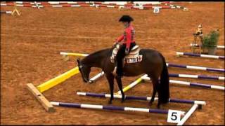 2010 AQHA World Show  Tina Freeland  Boston Aggravation [upl. by Nosdrahcir]