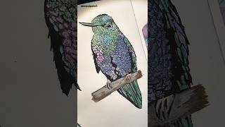 HummingBird gouache painting with sparkles ✨art timelapse drawing painting reels [upl. by Asecnarf]