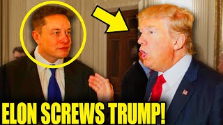 Elon STABS TRUMP In The BACK With SHOCKING Admission [upl. by Conrado]