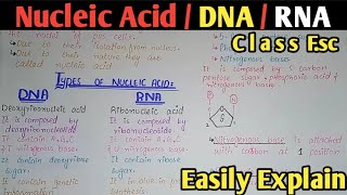 Nucleic Acid Composition  DNA  RNA  Class 11 amp 12 Biology [upl. by Aifos]