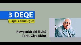 Rewsenbîrekî ji Licê Tarik Ziya Ekîncî [upl. by Grizelda546]