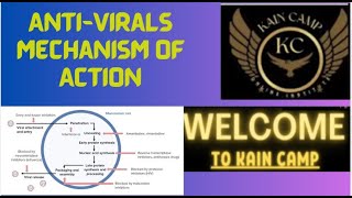 Mechanisms of Action of Antiviral Drugs Across Different Stages of Viral Infection [upl. by Enilrahc735]